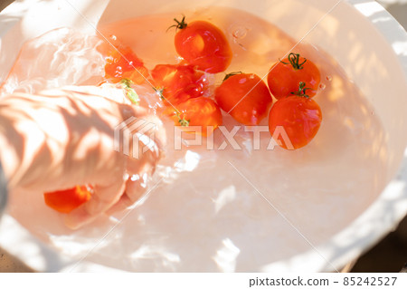 Mini Tomato Mini Tomato 85242527