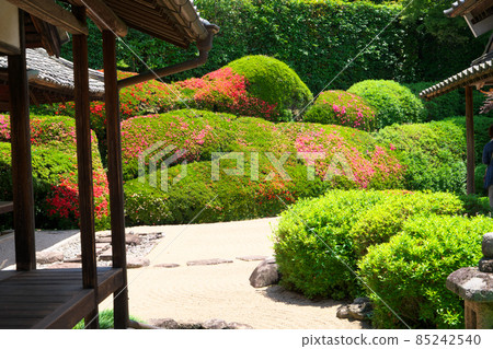 [Setouchi 33 Kannon Sacred Ground] No. 13 Ryokuji Garden and Qinghai Wave with Satsuki Flowers 3 Takahashi City, Okayama Prefecture 85242540