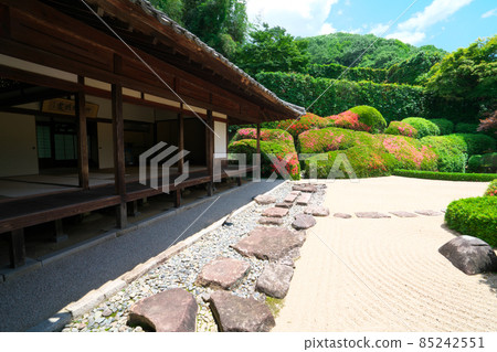 [Setouchi 33 Kannon Sacred Ground] No. 13 Raikyuji Garden, the porch of the garden, the dry garden, and the blooming Qinghai wave, Takahashi City, Okayama Prefecture 85242551