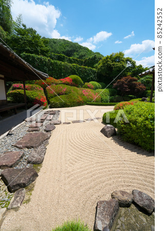 【瀨戶內33觀音聖地】13號萊久寺園的北條、旱園和小月盛開的青海波浪2岡山縣高橋市 【瀨戶內33觀音聖地】13號萊久寺園的北條、旱園和小月盛開的青海波浪2岡山縣高橋市 85242552