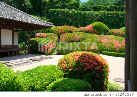 [Setouchi 33 Kannon Sacred Ground] No. 13 Satsuki and Qinghai wave made with balls at Ryokuji Temple, Takahashi City, Okayama Prefecture 85242557