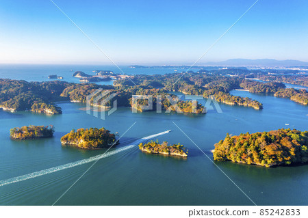 清晨的秋天松島(宮城縣) 清晨的秋天松島(宮城縣) 85242833