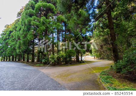The approach to the cedar avenue of Tama Imperial Mausoleum, Tokyo The approach to the cedar avenue of Tama Imperial Mausoleum, Tokyo 85243554