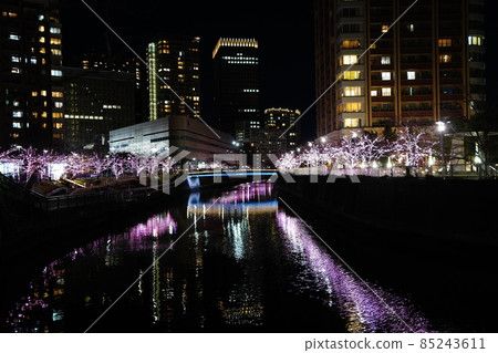 Illuminations of everyone on the Meguro River: Cherry blossoms and pink lights on the surface of the water 85243611