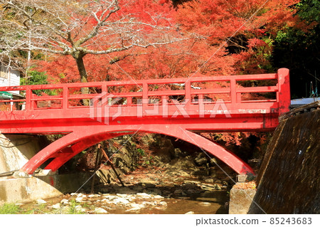 [愛媛縣] 白瀧公園的紅葉 85243683