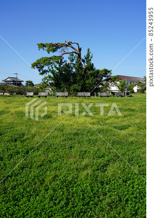 Shibata Castle Ruins Park (Shibata City, Niigata Prefecture) Shibata Castle Ruins Park (Shibata City, Niigata Prefecture) 85243955