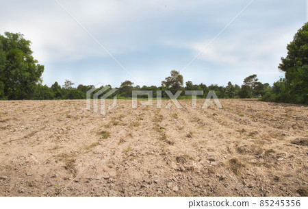 Empty dry cracked swamp reclamation soil, land plot for housing construction project with car tire print in rural area and beautiful blue sky Empty dry cracked swamp reclamation soil, land plot for housing construction project with car tire print in rural area and beautiful blue sky 85245356