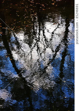 Taishaku Gorge (National Park, Scenic Beauty, Mountains of China, Tojo Town, Shobara City, Hiroshima Prefecture-Jinseki Kogen Town) 85246691