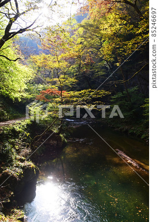 Taishaku Gorge (National Park, Scenic Beauty, Mountains of China, Tojo Town, Shobara City, Hiroshima Prefecture-Jinseki Kogen Town) 85246697