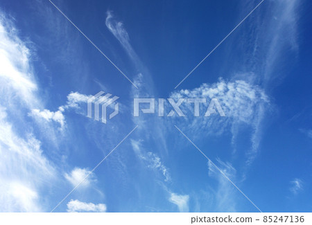 Clouds in sky like white swan flying Clouds in sky like white swan flying 85247136