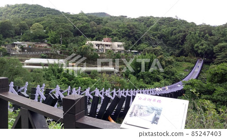 台北市胡區龍骨形象的淺紫色白石湖懸索橋1 台北市胡區龍骨形象的淺紫色白石湖懸索橋1 85247403