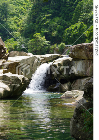 日本三重縣魚堀溪日本領先的透明度，銚子川上游，清澈的溪流，河流遊樂場 85247440