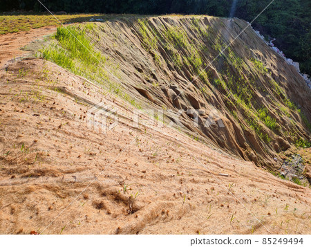 Permanent slope protection with grass using the hydroseed method. The grass is used to stabilize the slope structure and prevent slope erosion. Effective and less maintenance.  85249494