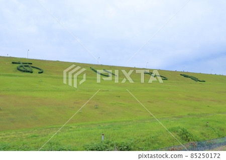 Retention basin lawn (Aichi Pond, Togo Town, Aichi Prefecture) 85250172