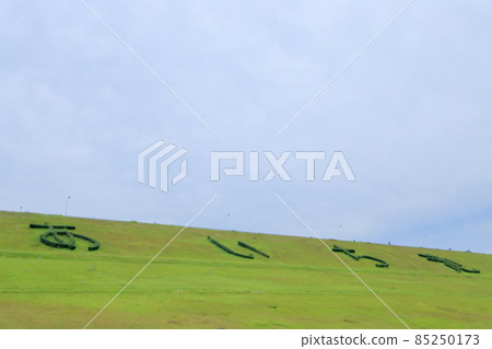 蓄水池草坪（愛知縣東鄉町愛知池） 85250173