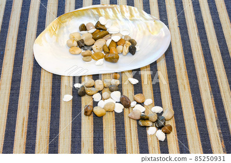 Sea shells Sea shells 85250931