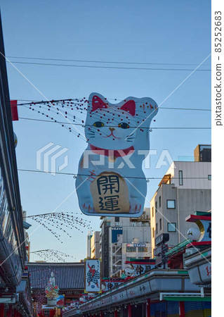 Early winter in the precincts of Sensoji Temple waiting for the New Year 85252683