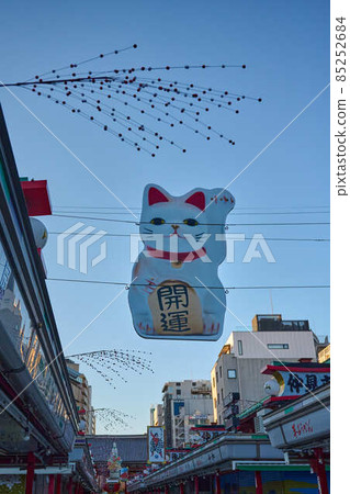 Early winter in the precincts of Sensoji Temple waiting for the New Year Early winter in the precincts of Sensoji Temple waiting for the New Year 85252684