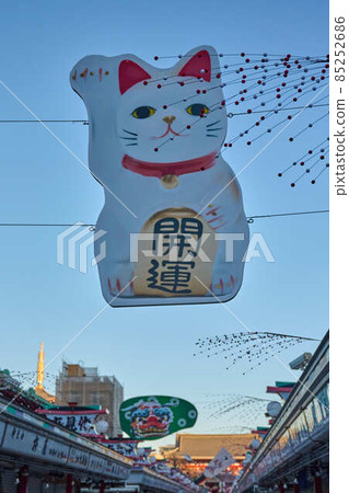 Early winter in the precincts of Sensoji Temple waiting for the New Year Early winter in the precincts of Sensoji Temple waiting for the New Year 85252686