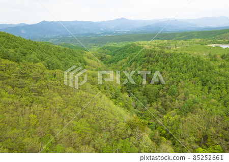 Taking a picture of the fresh green forest from the sky on a light cloudy day Taking a picture of the fresh green forest from the sky on a light cloudy day 85252861