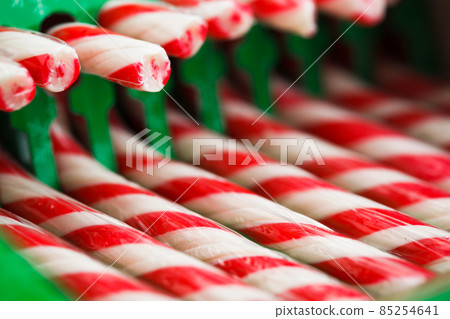 candy canes in green pack 85254641