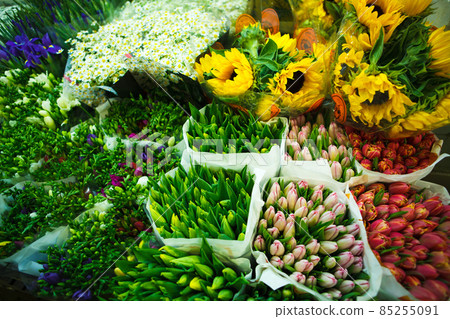 multitude of color flowers at the wholesale market multitude of color flowers at the wholesale market 85255091