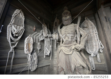 Ikarugadera Niomon statue of King Nio, Ikaruga, Taishi-cho, Hyogo Prefecture Ikarugadera Niomon statue of King Nio, Ikaruga, Taishi-cho, Hyogo Prefecture 85255253