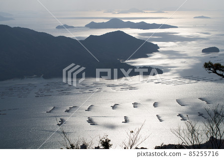 A view of the islands of Seto in late autumn when oyster rafts spread A view of the islands of Seto in late autumn when oyster rafts spread 85255716