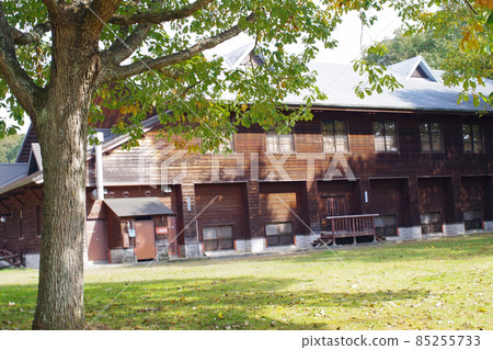 View of the building in the Kunugi forest of Kyukamura Taishakukyo 85255733