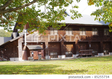 View of the building in the Kunugi forest of Kyukamura Taishakukyo 85255734