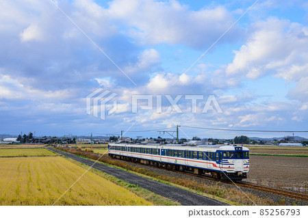 Echigo Line Yahiko Line 115 series 85256793