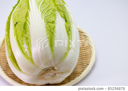 Winter vegetables Chinese cabbage white background 85256878