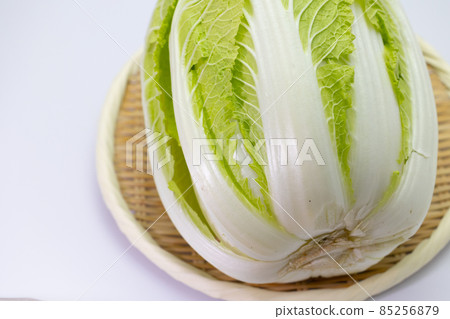 Winter vegetables Chinese cabbage white background Winter vegetables Chinese cabbage white background 85256879