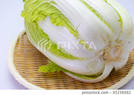 Winter vegetables Chinese cabbage white background Winter vegetables Chinese cabbage white background 85256882