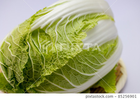 冬季蔬菜大白菜白色背景 85256901