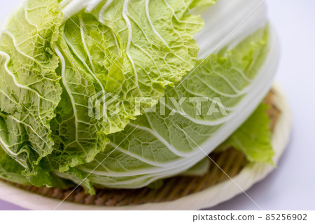 冬季蔬菜大白菜白色背景 85256902