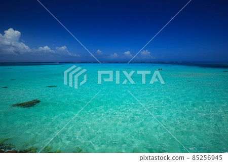 下島17完 85256945