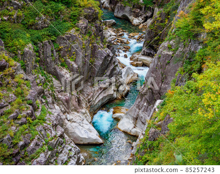 Autumn scenery in the corridor under the Kurobe Gorge in the Northern Alps S-shaped gorge 85257243