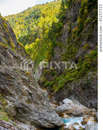 Autumn scenery in the corridor under the Kurobe Gorge in the Northern Alps 85257313