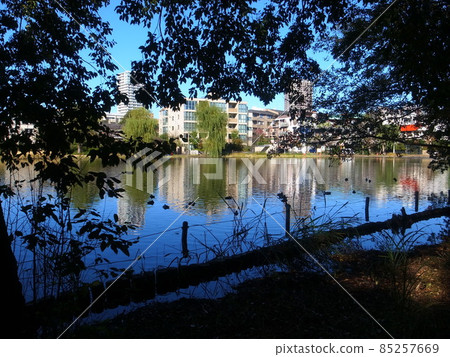 Shakujii Park 85257669
