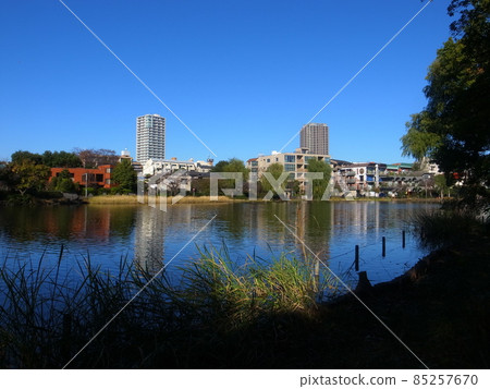 Shakujii Park Shakujii Park 85257670