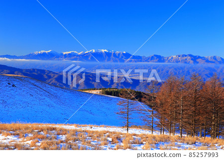 Central Alps seen from Kirigamine Kogen Fujimidai in winter 85257993