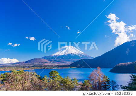 [Yamanashi Prefecture] From Lake Motosu, Mt. Fuji in winter 85258323