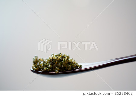 在領域的魚子醬湯布里用勺子 85258462