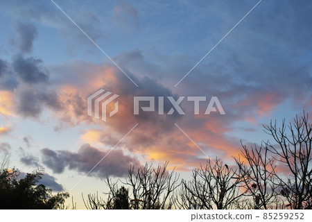 Co-starring the sunset and clouds Co-starring the sunset and clouds 85259252