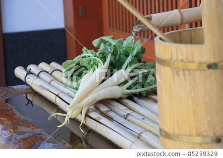 龜戶蘿蔔江戶東京蔬菜 龜戶蘿蔔江戶東京蔬菜 85259329