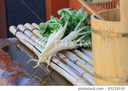 Kameido radish Edo Tokyo vegetables Kameido radish Edo Tokyo vegetables 85259330