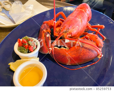 活龍蝦蒸 活龍蝦蒸 85259753