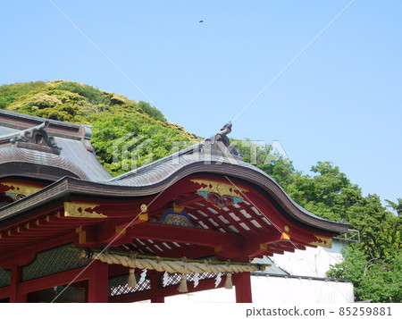 Kamakura Tsurugaoka Hachimangu Shrine Maiden Roof 85259881