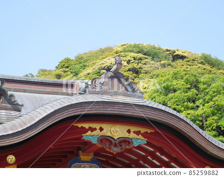 Kamakura Tsurugaoka Hachimangu Shrine Maiden Roof 85259882